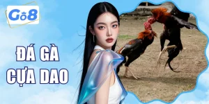 Đá Gà Cựa Dao GO8 Có Gì Hot? Bật Mí Bí Kíp Chơi Là Thắng